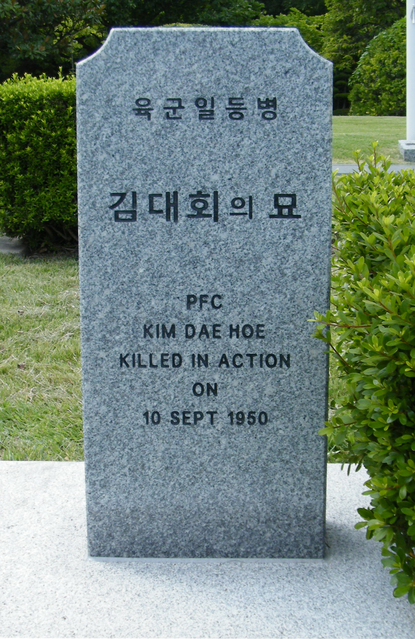 KIM DAE HOE