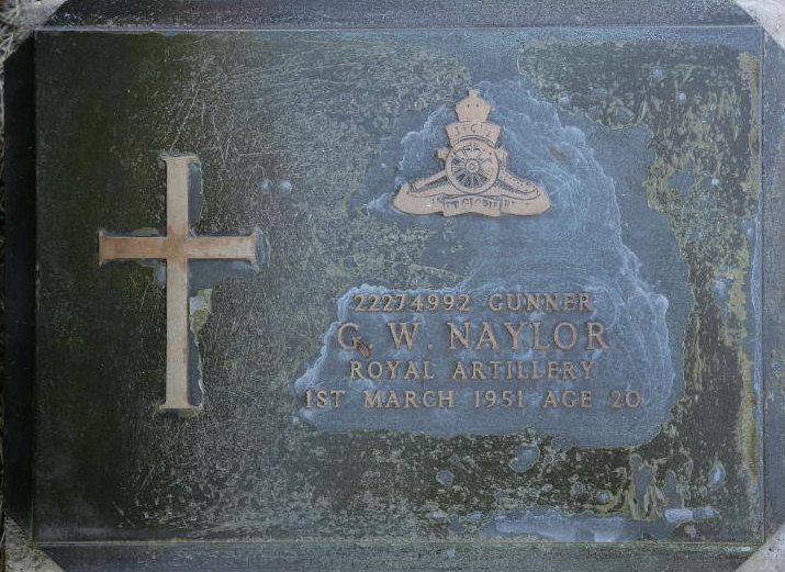 NAYLOR G W