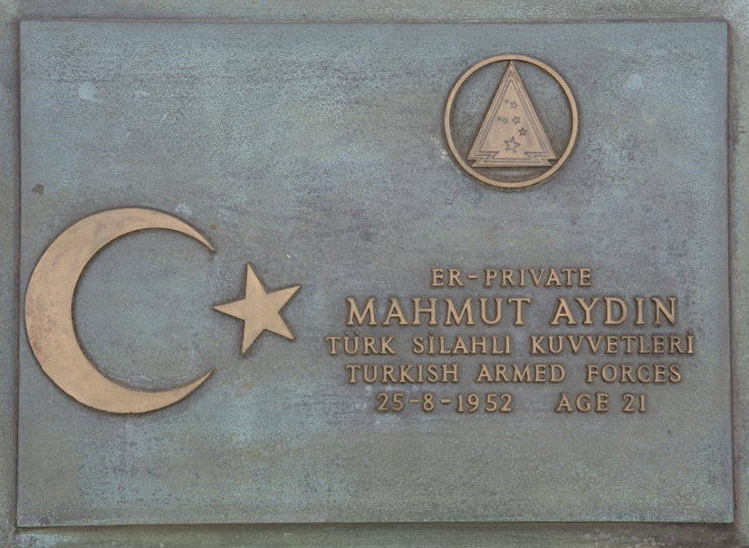 AYDIN MAHMUT 