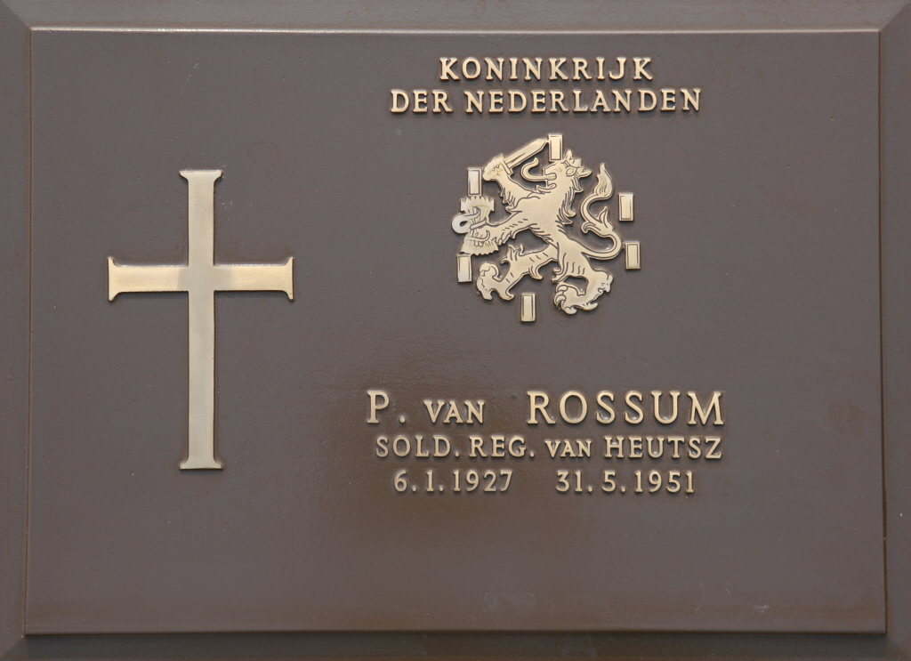 VAN ROSSUM P 