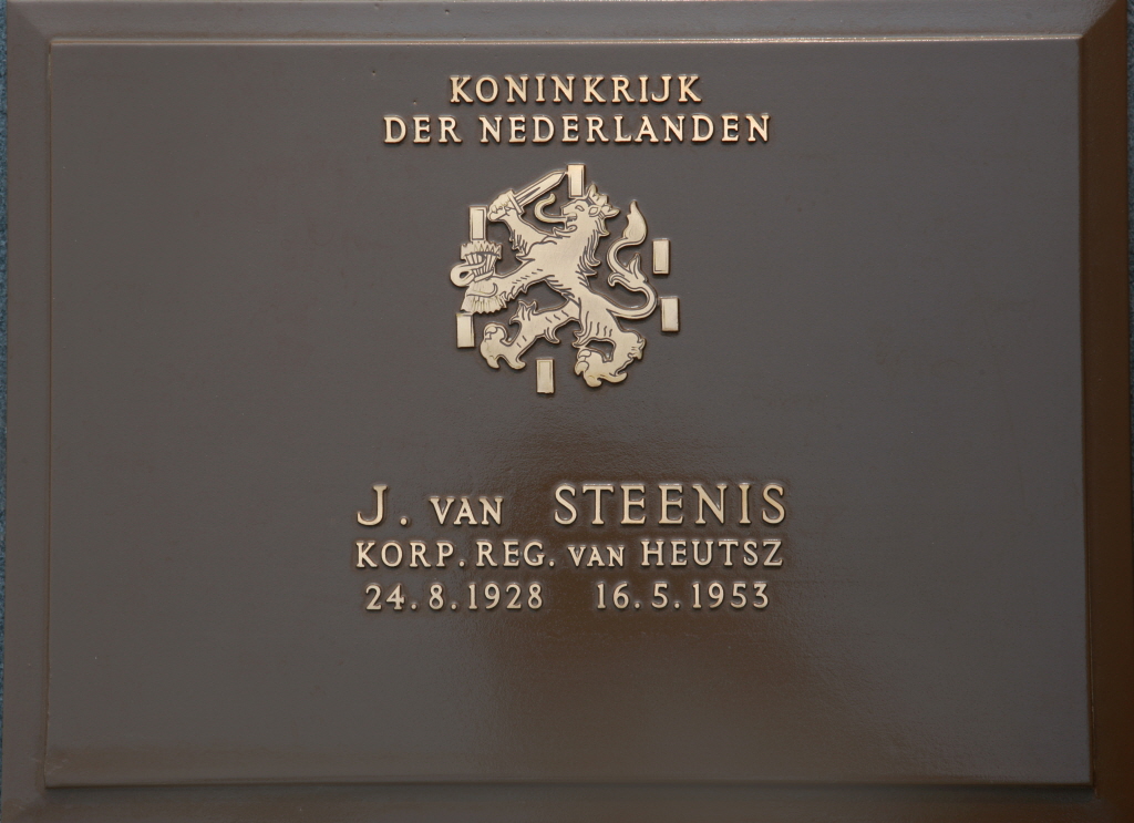 VAN STEENIS J 