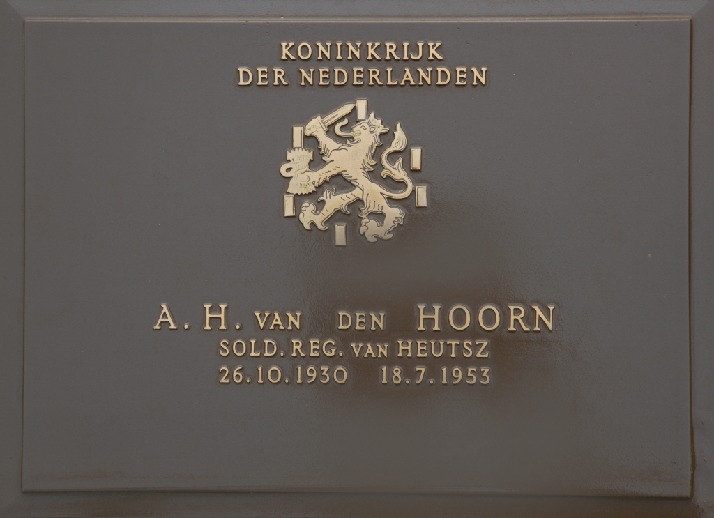 VAN  DEN HOORN A H