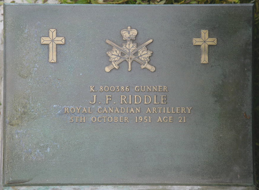 RIDDLE J F