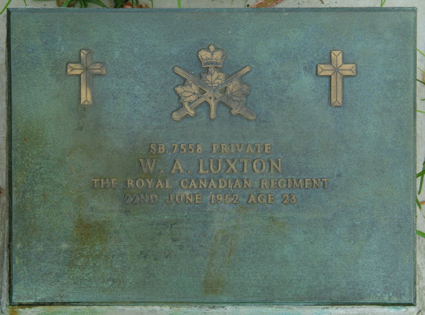 LUXTON W A