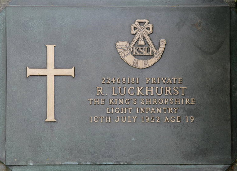 LUCKHURST R 