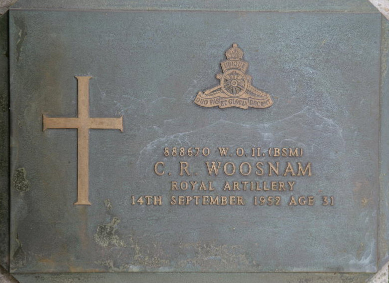 WOOSNAM C R