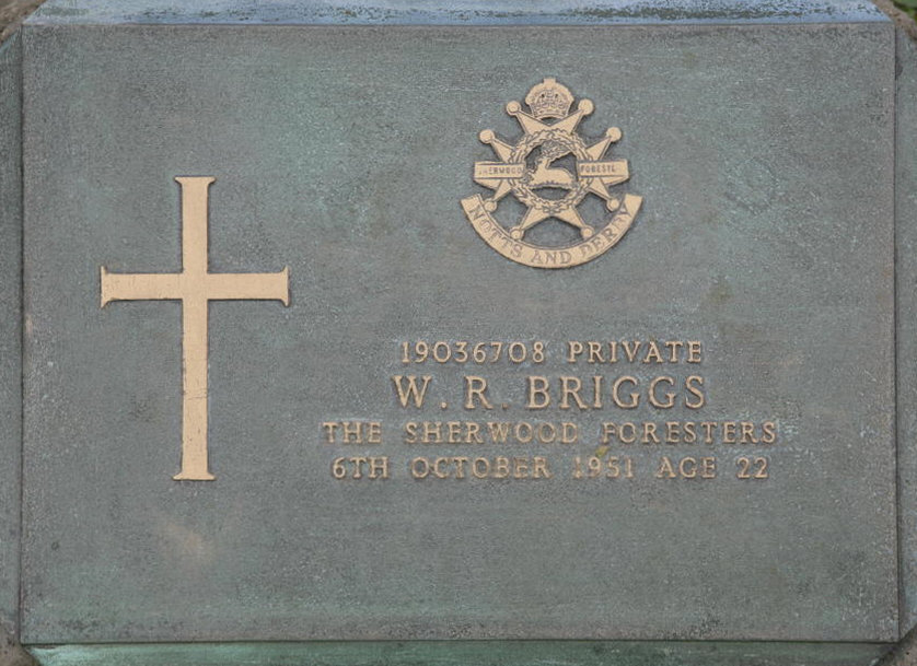 BRIGGS W R