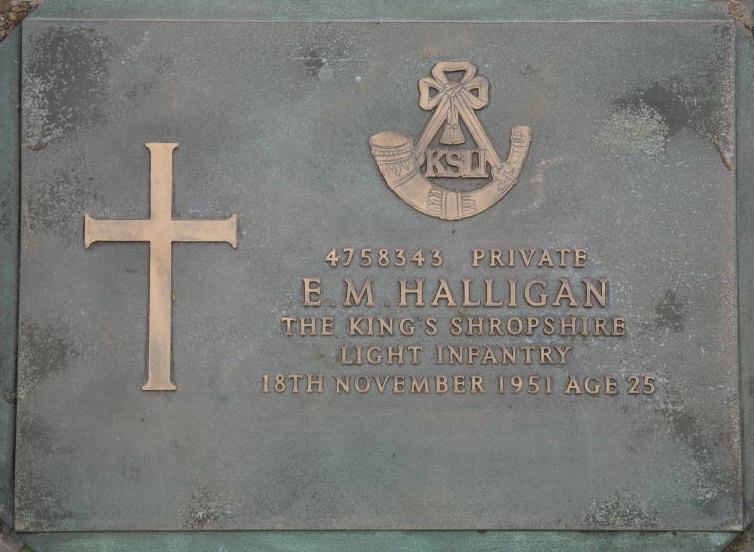 HALLIGAN E M