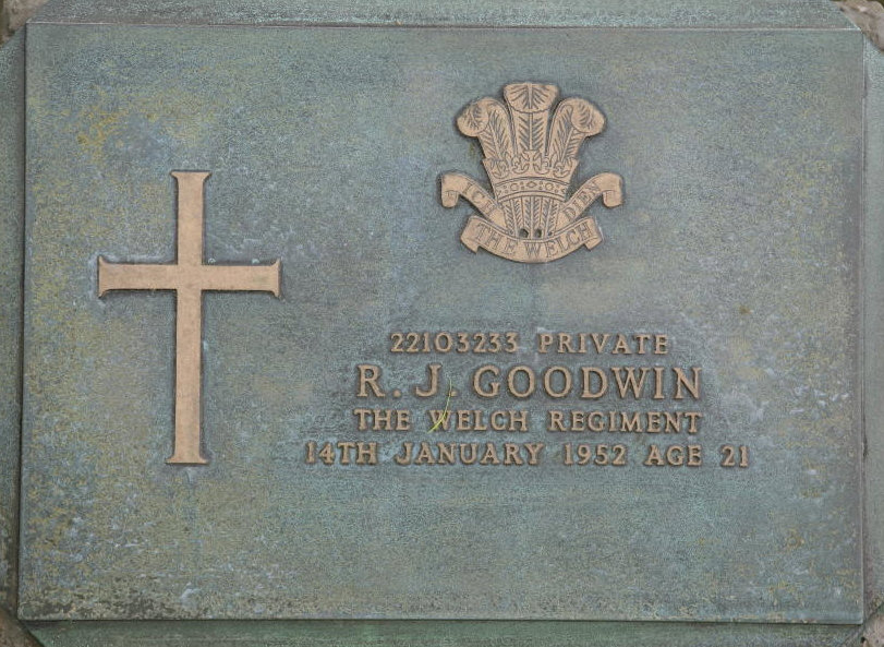 GOODWIN R J