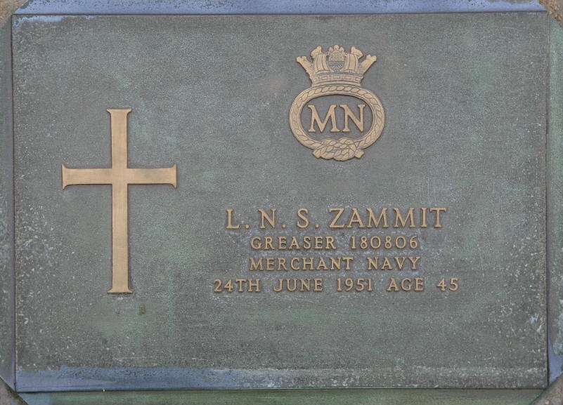 ZAMMIT L N S