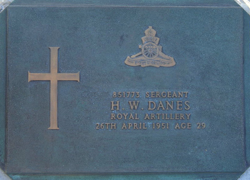 DANES H W