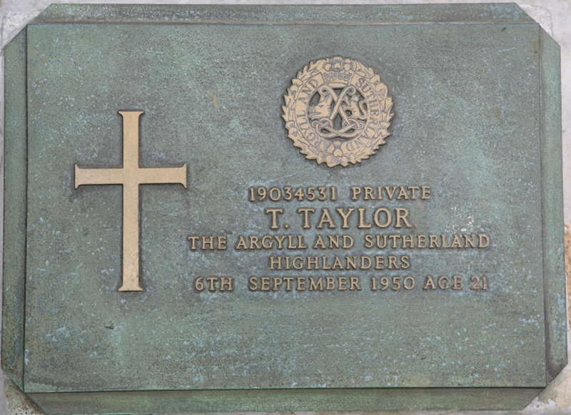 TAYLOR T 
