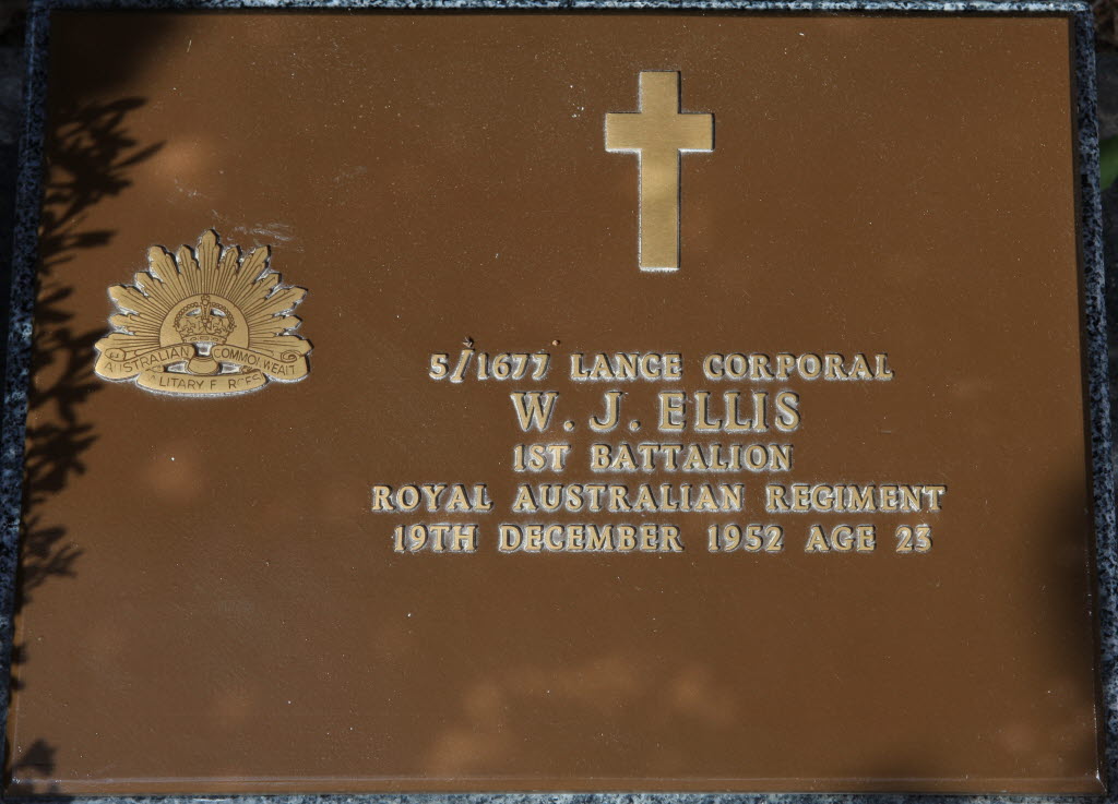 ELLIS W J