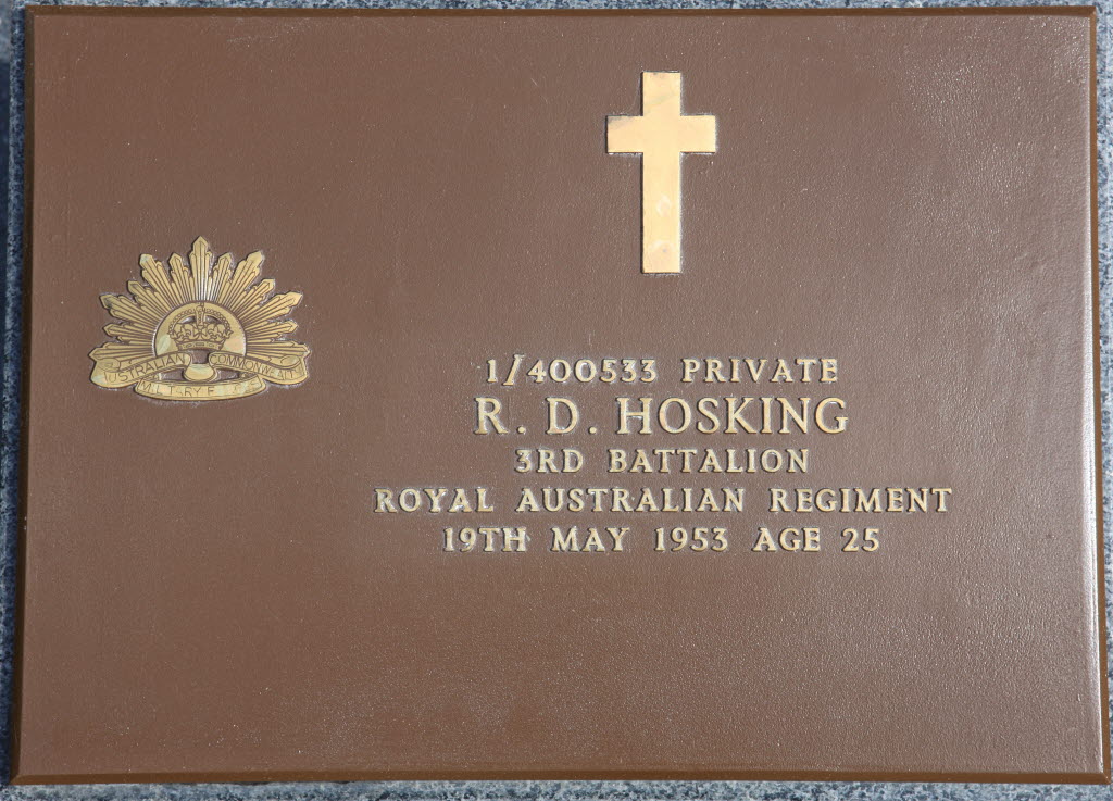 HOSKING R D