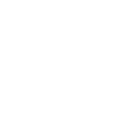 Metro Bus